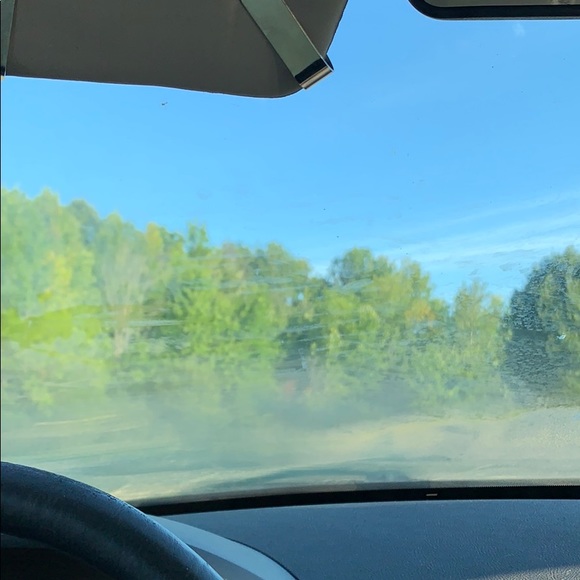 Meet your Posher, Chlo - Picture 1 of 1